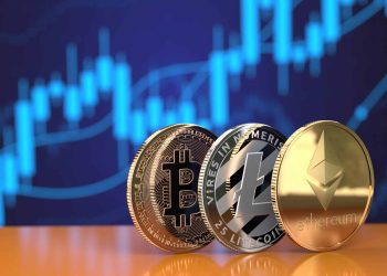 pedrovazpaulo crypto investment